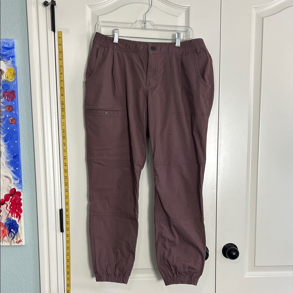 Women’s Mountain Hardwear Elastic Cuff Pants in Plum, size 10/42
